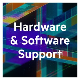 Hewlett Packard Enterprise Foundation Care (HG6P4E)