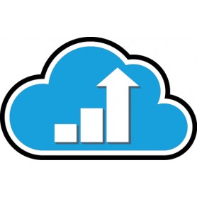 Zebra Z1B4-ZX3X-1C0 estensione della garanzia (Z1B4-ZX3X-1C0)
