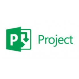 Microsoft Project Professional, 3Y, Level D, Government, Additional Product Governativa (GOV) 3 anno/i (H30-02388)