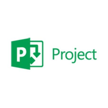 Microsoft Project Professional, 3Y, Level D, Government, Additional Product Governativa (GOV) 3 anno/i (H30-02388)
