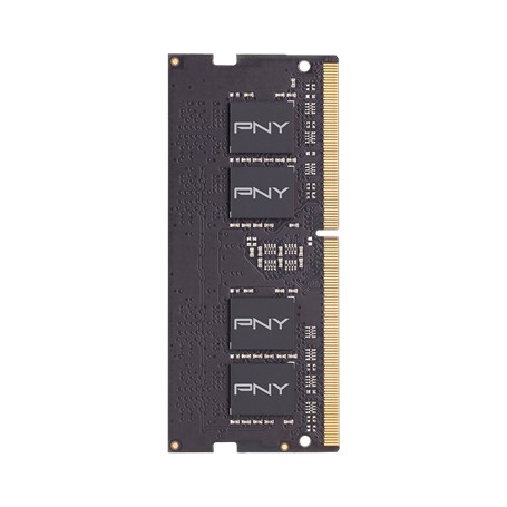 PNY MN16GSD42666 memoria 16 GB 1 x 16 GB DDR4 2666 MHz (MN16GSD42666)