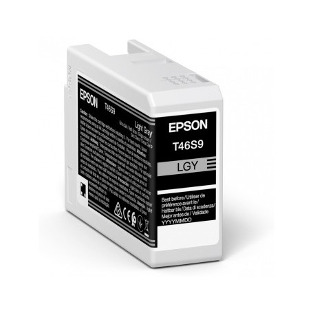 Epson UltraChrome Pro cartuccia d'inchiostro 1 pz Originale Grigio chiaro (C13T46S900)