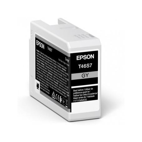 Epson UltraChrome Pro cartuccia d'inchiostro 1 pz Originale Grigio (C13T46S700)