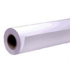 Epson Carta speciale "matte" per presentazioni, in rotoli da111,8cm (44'') x 25m. (C13S041220)