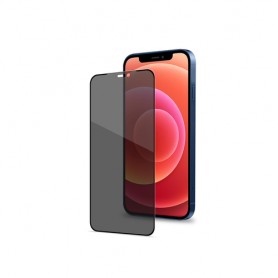 Celly PRIVACYF1009BK protezione per schermo Pellicola proteggischermo trasparente Apple 1 pz (PRIVACYF1009BK)