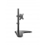 V7 Supporto per scrivania free-standing per display singolo da 13 a 32", con funzione di inclinazione e rotazione, VESA (DS1FSS)