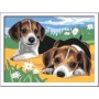 Ravensburger CreArt Jack Russell Puppy Colore per kit di verniciatura in base ai numeri (28939)