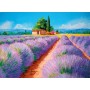 Clementoni 35073 puzzle 500 pz (35073)