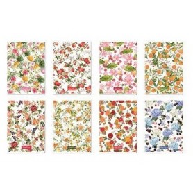 Blasetti 6739 quaderno per scrivere A4 21 fogli Multicolore (6739)