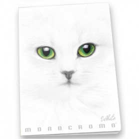 Pigna Monocromo quaderno per scrivere A4 19 fogli Bianco (02307911R)