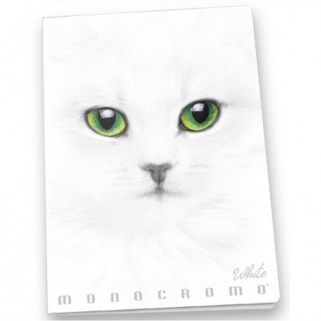 Pigna Monocromo quaderno per scrivere A4 19 fogli Bianco (02307914F)