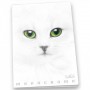 Pigna Monocromo quaderno per scrivere A4 19 fogli Bianco (023079110)