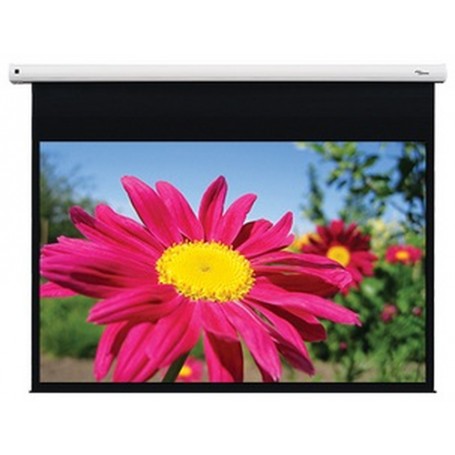 Optoma DE-1095EGA schermo per proiettore 2,41 m (95") 16:10 (DE-1095EGA)