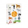 BIC My Colouring Box (975009)
