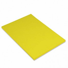 Canson Iris Vivaldi A4 Foglio d'arte 50 fogli (C200040155)