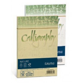 Favini Nature Calligraphy busta Carta Grigio (A57Q447)