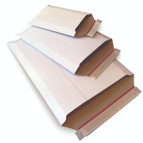 CF20 BUSTE E-COMMERCE PACK ST C4 (0734)