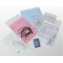 Willchip TG80120 busta Trasparente (TG80120)