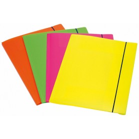 Fellowes 1028001 cartella Polipropilene (PP) Multicolore A4 (1028001)