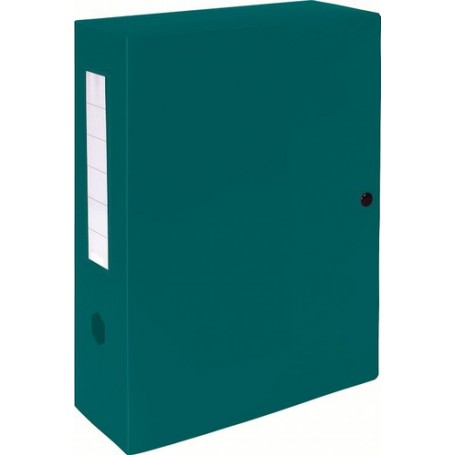 Exacompta 59933E scatola per la conservazione di documenti Verde (59933E)