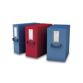 Fellowes Pick Up scatola per la conservazione di documenti Blu (40270)