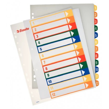 Esselte 100214 etichetta per stampante Multicolore Etichetta per stampante autoadesiva (100214)