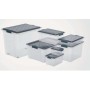 Rotho 1776008812 scatola di conservazione Armadietto portaoggetti Rettangolare Grigio, Trasparente (F717760)