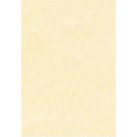 DECAdry T105027 carta da disegno 25 fogli (T105027)