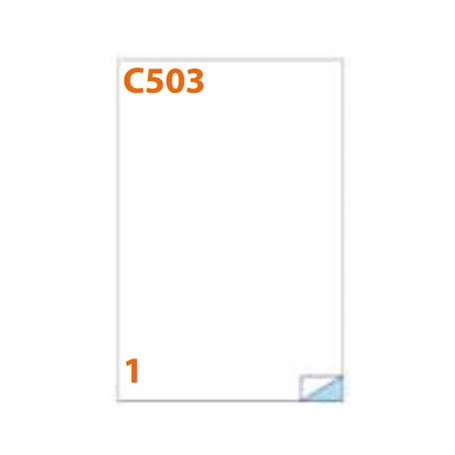Markin 210C503VE etichetta autoadesiva Rettangolo Permanente Verde 100 pz (210C503VE)