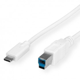 CAVO USB C-B M/M MT.1 80 (RO11.99.8880)