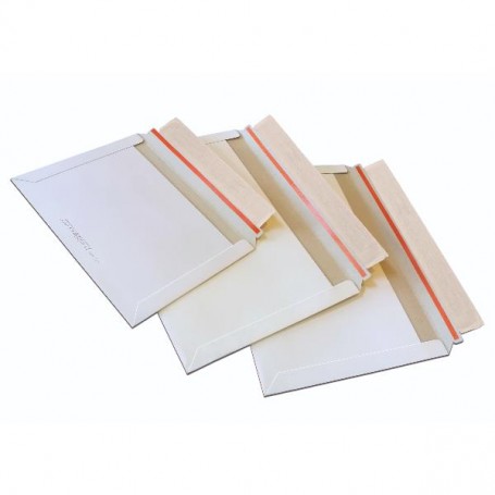 CF20 BUSTE E-COMMERCE PACK BT C5 (0702B)