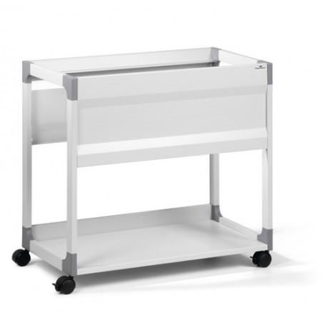 Durable 378410 scatola per la conservazione di documenti Grigio (378410)