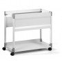 Durable 378410 scatola per la conservazione di documenti Grigio (378410)