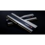 G.Skill Trident Z5 memoria 32 GB 2 x 16 GB DDR5 6000 MHz (F5-6000J4040F16GX2-TZ5S)