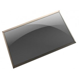 HP L53825-001 ricambio per notebook Display (L53825-001)