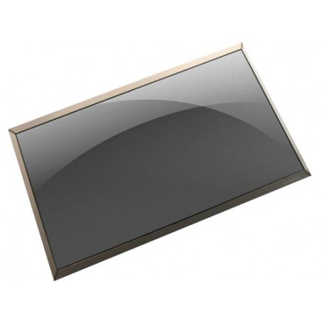 HP L53825-001 ricambio per notebook Display (L53825-001)