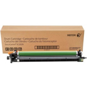 Xerox 013R00677 tamburo per stampante Originale 1 pz (013R00677)