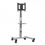 Chief PFCUB carrello e supporto multimediale Pannello piatto Carrello multimediale (PFCUB)