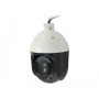 LevelOne FCS-4048 Telecamera di sicurezza IP Interno e esterno Cupola 1920 x 1080 Pixel Soffitto (FCS-4048)