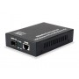 LevelOne GVT-0500 convertitore multimediale di rete 10000 Mbit/s Nero (GVT-0500)