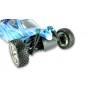 Amewi 22037 Veicolo terrestre radiocomandato (RC) Motore elettrico 1:10 Buggy (22037)