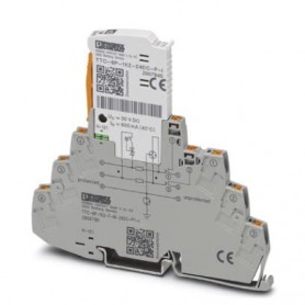 Phoenix Contact 2906790 protezione da sovraccarico Grigio 24 V (2906790)