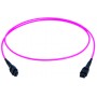 Telegärtner L00836A0024 cavo a fibre ottiche 30 m MPO OM4 Viola (L00836A0024)