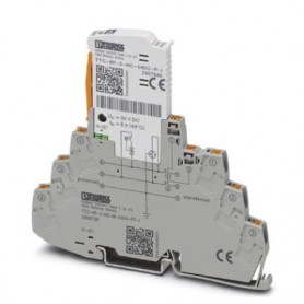 Phoenix Contact 2906755 protezione da sovraccarico Grigio 24 V (2906755)
