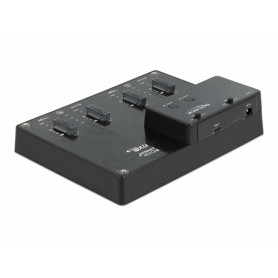 DeLOCK 64124 docking station per unità di archiviazione USB 3.2 Gen 2 (3.1 Gen 2) Type-C Nero (64124)