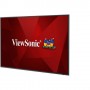 Viewsonic CDE6520 visualizzatore di messaggi Pannello piatto per segnaletica digitale 165,1 cm (65") IPS 4K Ultra HD N (CDE6520)
