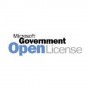 Microsoft SQL Server 2017 Standard Governativa (GOV) 2 licenza/e Multilingua (7NQ-01142)
