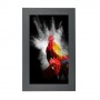 Hagor ScreenOut Pro L 139,7 cm (55") Alluminio (1652)