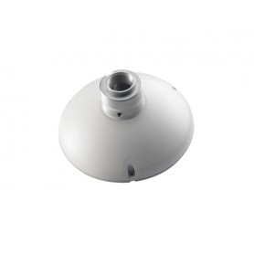 LevelOne CAS-2101 accessorio per la montatura delle macchine fotografiche (CAS-2101)