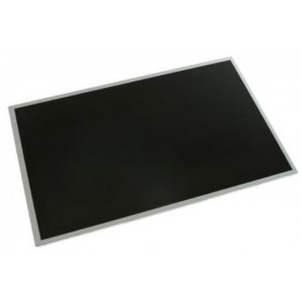 HP 411933-001 ricambio per notebook Display (411933-001)